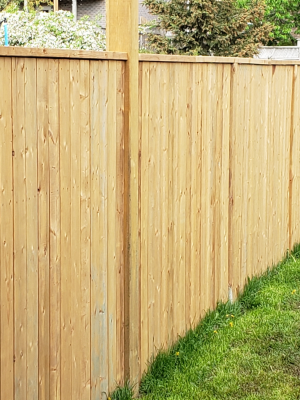 Fencing Expertise